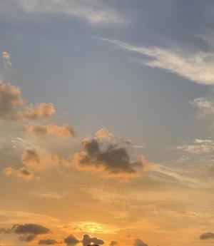 一ノ瀬　あやこの写メ日記｜エル・カーヒル 秘密の刻 吉原高級店ソープ