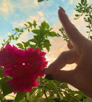 一ノ瀬　あやこの写メ日記｜エル・カーヒル 秘密の刻 吉原高級店ソープ