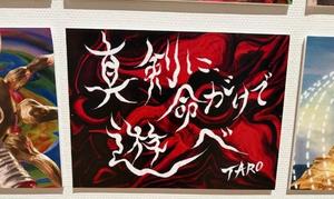 一ノ瀬　あやこの写メ日記｜エル・カーヒル 秘密の刻 吉原高級店ソープ