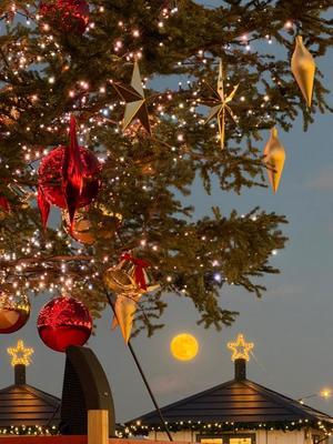 一ノ瀬　あやこの写メ日記｜エル・カーヒル 秘密の刻 吉原高級店ソープ