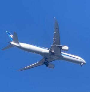 一ノ瀬　あやこの写メ日記｜エル・カーヒル 秘密の刻 吉原高級店ソープ