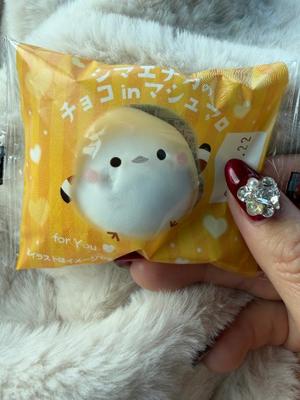 一ノ瀬　あやこの写メ日記｜エル・カーヒル 秘密の刻 吉原高級店ソープ