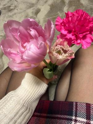 一ノ瀬　あやこの写メ日記｜エル・カーヒル 秘密の刻 吉原高級店ソープ