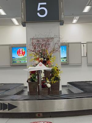 一ノ瀬　あやこの写メ日記｜エル・カーヒル 秘密の刻 吉原高級店ソープ