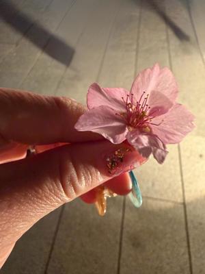 一ノ瀬　あやこの写メ日記｜エル・カーヒル 秘密の刻 吉原高級店ソープ