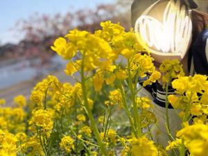 一ノ瀬　あやこの写メ日記｜エル・カーヒル 秘密の刻 吉原高級店ソープ