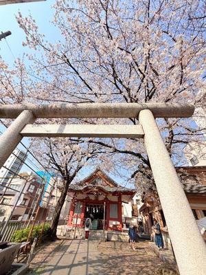 一ノ瀬　あやこの写メ日記｜エル・カーヒル 秘密の刻 川崎高級店ソープ