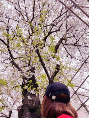 一ノ瀬　あやこの写メ日記｜エル・カーヒル 秘密の刻 吉原高級店ソープ