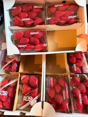 一ノ瀬　あやこの写メ日記｜エル・カーヒル 秘密の刻 吉原高級店ソープ