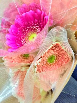 一ノ瀬　あやこの写メ日記｜エル・カーヒル 秘密の刻 吉原高級店ソープ