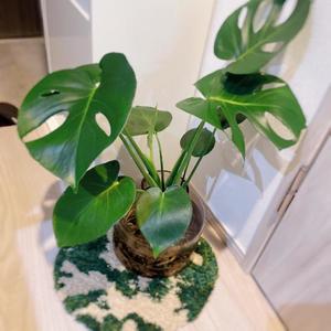 倉多　みなみの写メ日記｜エル・カーヒル 秘密の刻 川崎高級店ソープ