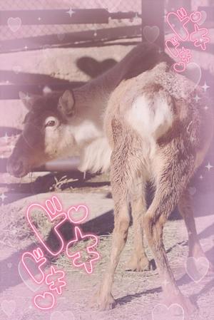 結城　ましろの写メ日記｜エル・カーヒル 秘密の刻 川崎高級店ソープ