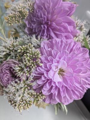 冴島　れいかの写メ日記｜エル・カーヒル 秘密の刻 吉原高級店ソープ