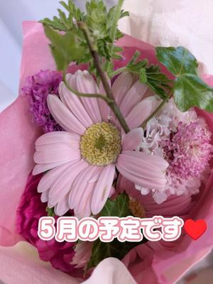 冴島　れいかの写メ日記｜エル・カーヒル 秘密の刻 吉原高級店ソープ