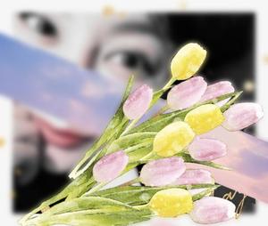 篠田　まやの写メ日記｜エル・カーヒル 秘密の刻 川崎高級店ソープ