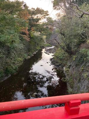 藤森　なおの写メ日記｜エル・カーヒル 秘密の刻 川崎高級店ソープ