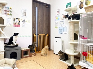 Chiaki Arimaの写メ日記｜エレガント 吉原高級店ソープ