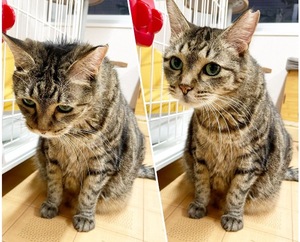 Chiaki Arimaの写メ日記｜エレガント 吉原高級店ソープ