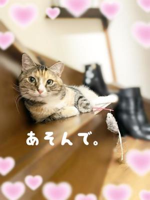 Chiaki Arimaの写メ日記｜エレガント 吉原高級店ソープ