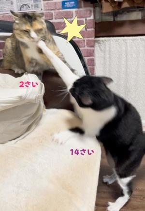 Chiaki Arimaの写メ日記｜エレガント 吉原高級店ソープ