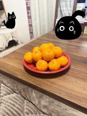 Chiaki Arimaの写メ日記｜エレガント 吉原高級店ソープ