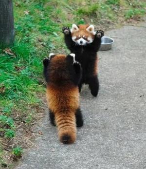 Chiaki Arimaの写メ日記｜エレガント 吉原高級店ソープ