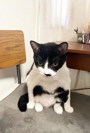 Chiaki Arimaの写メ日記｜エレガント 吉原高級店ソープ