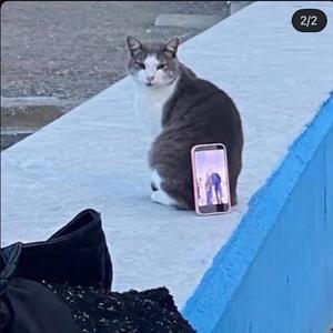 Chiaki Arimaの写メ日記｜エレガント 吉原高級店ソープ