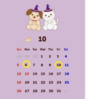 Reiko Igawaの写メ日記｜エレガント 吉原高級店ソープ