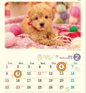 Reiko Igawaの写メ日記｜エレガント 川崎高級店ソープ