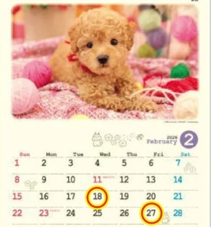 Reiko Igawaの写メ日記｜エレガント 吉原高級店ソープ