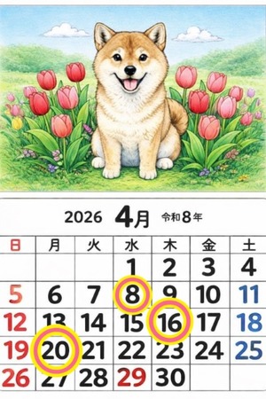 Reiko Igawaの写メ日記｜エレガント 吉原高級店ソープ