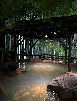 Misaki Arimuraの写メ日記｜エレガント 吉原高級店ソープ