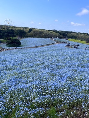 Misaki Arimuraの写メ日記｜エレガント 川崎高級店ソープ