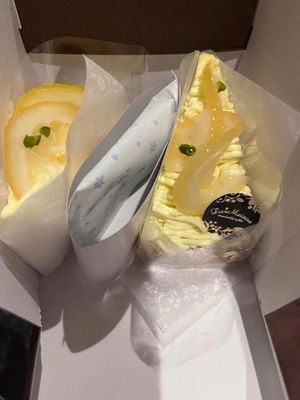 Misaki Arimuraの写メ日記｜エレガント 吉原高級店ソープ