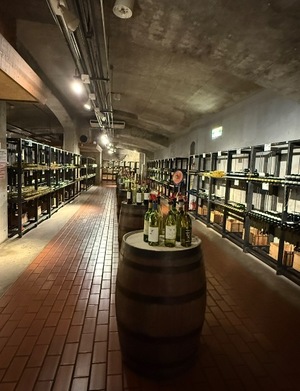 Ren Saotomeの写メ日記｜エレガント 吉原高級店ソープ