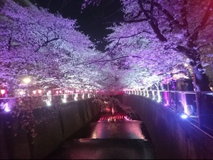 Kanon Soumaの写メ日記｜エレガント 吉原高級店ソープ