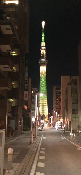 Yu Shiraneの写メ日記｜エレガント 吉原高級店ソープ