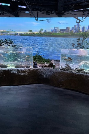 Yu Shiraneの写メ日記｜エレガント 吉原高級店ソープ