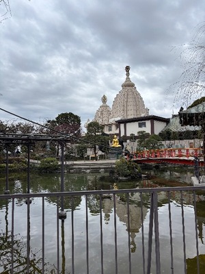 Yu Shiraneの写メ日記｜エレガント 吉原高級店ソープ