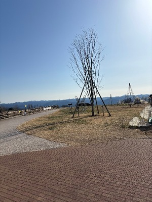 Yu Shiraneの写メ日記｜エレガント 吉原高級店ソープ