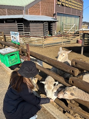 Yu Shiraneの写メ日記｜エレガント 吉原高級店ソープ