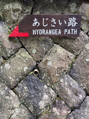 Yu Shiraneの写メ日記｜エレガント 吉原高級店ソープ