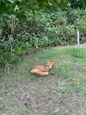 Emi Terasawaの写メ日記｜エレガント 吉原高級店ソープ