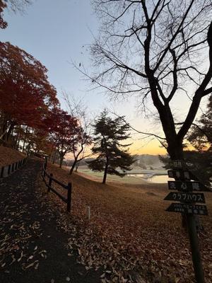 Emi Terasawaの写メ日記｜エレガント 川崎高級店ソープ