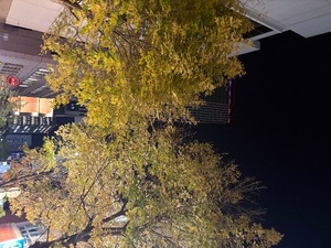 Keiko Kamiyaの写メ日記｜エレガント 吉原高級店ソープ