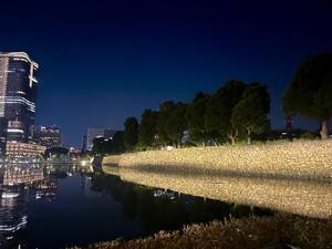 Mami Nonakaの写メ日記｜エレガント 川崎高級店ソープ