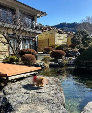 Sanae Himuroの写メ日記｜エレガント 川崎高級店ソープ