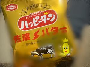 Sanae Himuroの写メ日記｜エレガント 川崎高級店ソープ