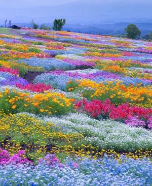 Sanae Himuroの写メ日記｜エレガント 吉原高級店ソープ